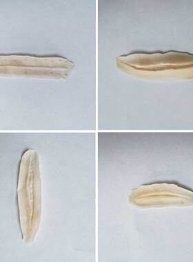 仿真伤疤贴特效化妆道具乳胶白胶零件万圣节脸部妆容刀伤口疤痕贴