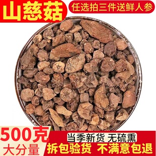 山慈菇中药材干货500g包邮冰球子山慈姑茅毛慈菇山茨菇新鲜磨粉