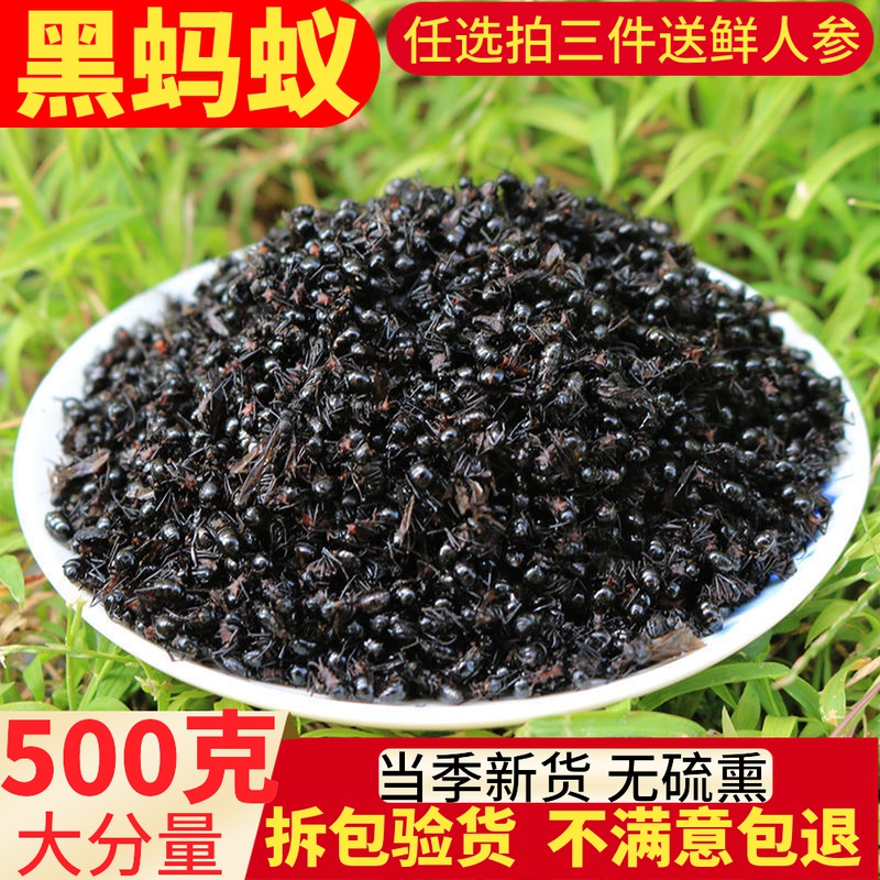 黑蚂蚁干长白山蚁拟黑多刺蚁500g包邮养生泡酒料大蚂蚁酸黑蚂蚁粉