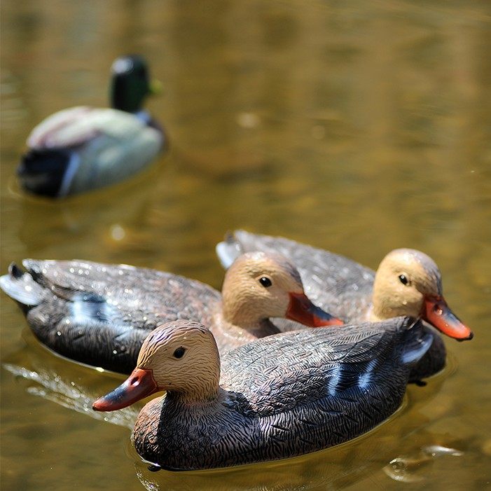 仿真模型塑料DIY电动鸭孩子玩具