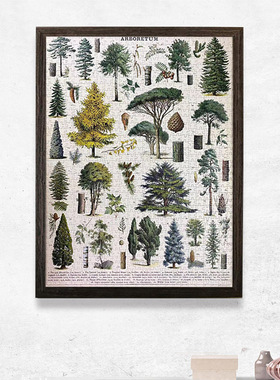 7055简约拼图框挂墙Cavallini美式复古植物园花卉1000片500片相框