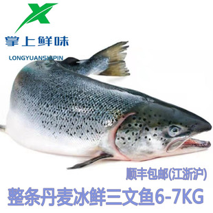 丹麦法罗群岛皇冠冰鲜三文鱼大西洋鲑鱼刺身寿司日料食材整条12斤