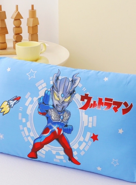 枕套一只装纯棉100%全棉40x60幼儿园儿童卡通枕头套30X50cm枕芯