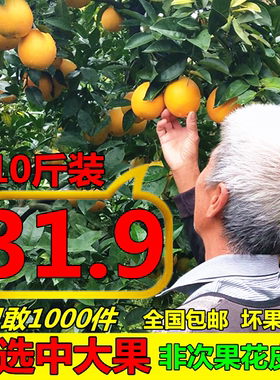 正宗江西安远赣南脐橙新鲜装甜橙时令新鲜应季孕妇水果10斤包邮