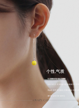 925纯银长款流苏耳环水晶钻挂钩