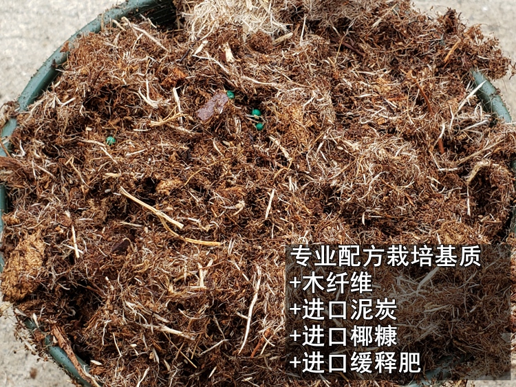 伟伟园艺苗圃专业配方栽培基质铁线莲月季绣球草花营养土泥炭椰糠,鲜花速递/花卉仿真/绿植园艺,介质/营养土,淘宝优惠券,粉丝福利购,淘宝优惠卷
