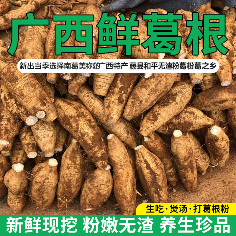 广西葛根新鲜和平粉葛根粉糯香甜无渣现挖广东煲汤解酒5斤推荐,水产肉类/新鲜蔬果/熟食,番薯,淘宝优惠券,粉丝福利购,淘宝优惠卷
