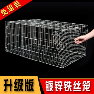 加粗加密鸽子养殖笼兔笼鸡笼家用鹌鹑笼镀锌铁丝笼运输笼大号笼