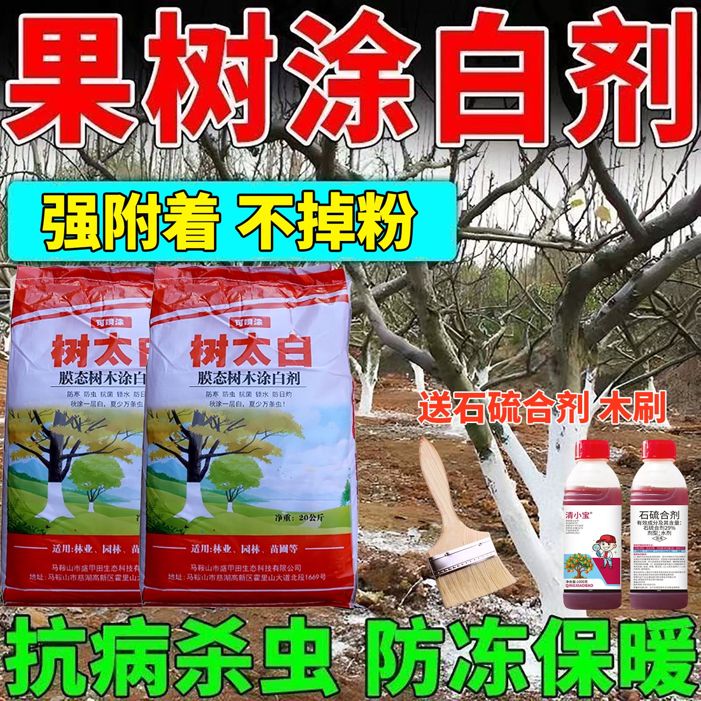 树太白树木涂白剂抗冻防病虫