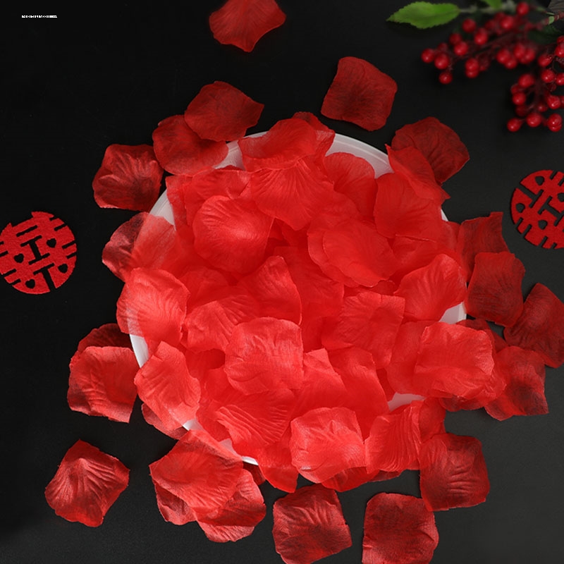 因为专注，所以专业！