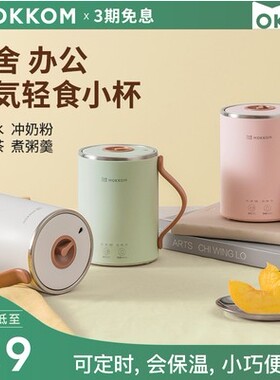 多功能便携式电炖煮粥烧水养生