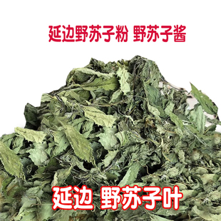 延边野苏子叶干把蒿叶粉炖菜煲肉汤酱料朝鲜族鱼汤料酱米肠调料