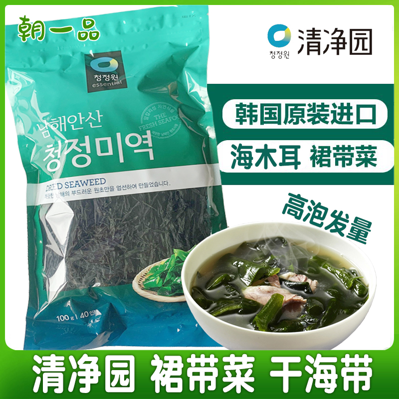 韩国进口清净园干裙带菜海带100g