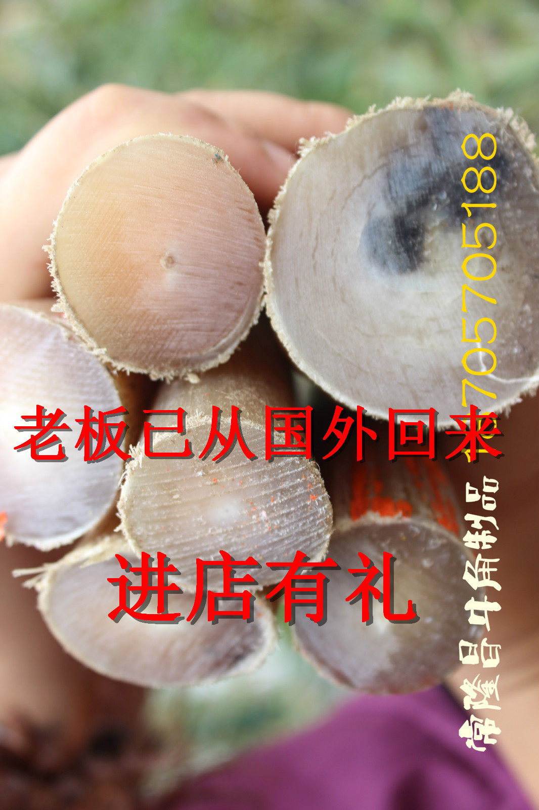 天然牛角白牦牛角尖原料烟嘴 扳指 佛珠原料牛角刀柄实心尖牛角料|ruв категории Украшения,ювелирные изделия, украшения - от Buy2taobao.com для оказания профессиональной услуги покупки агента Taobao