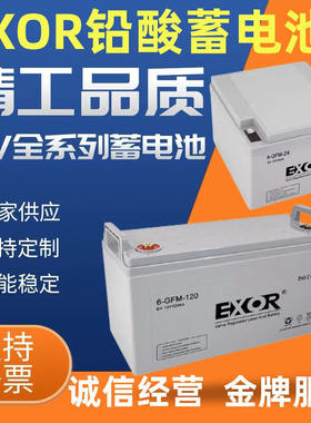 EXOR埃索蓄电池6-GFM/EX33-12/12V33Ah100A38A24Ah机房UPS消防EPS