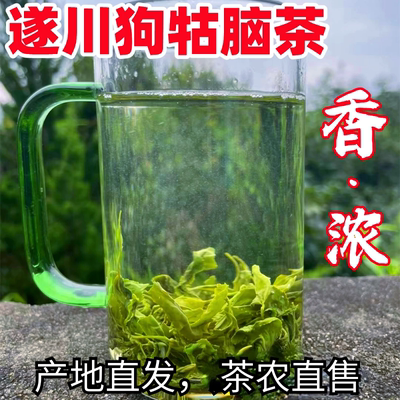 江西遂川狗牯脑茶2025新茶产地高山茶农炒青绿茶500g热销款