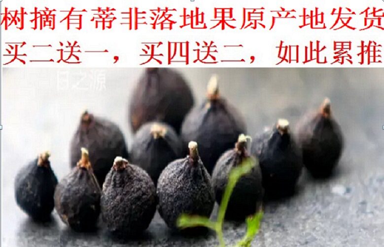 买二送一新会柑胎树摘带蒂农家生陈皮
