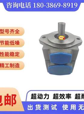 新款海特克PV2R1 PVL1-6 8 10 14 17 19 23 25 28 31-F-1R-U-现货