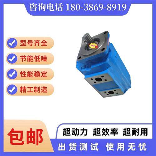 新款泊姆克油泵齿轮泵P257A467PRZA12-6/P257-G63 367P现货