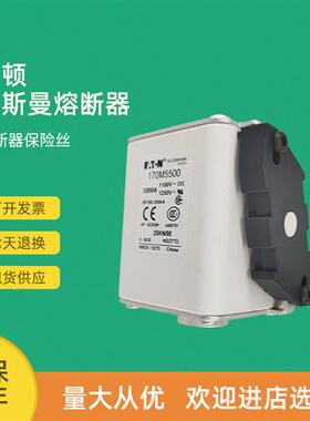 全新快速熔断器保险170M5595 170M5596 170M5597 170M5598