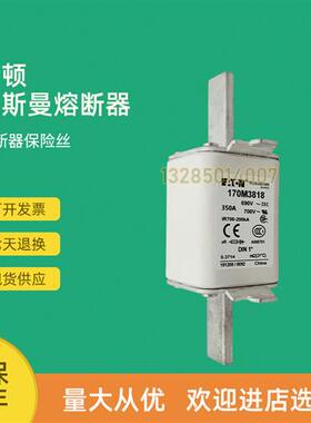 全新快速熔断器保险170M3817 170M3817D 170M3818 170M3818D