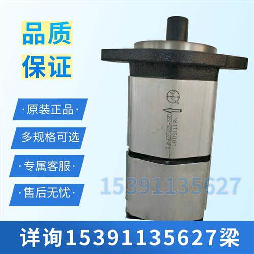 新款合肥皖液CBSL-G33/G23-AF液压齿轮油泵双联油泵物料号6现货