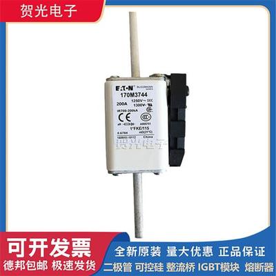 全新进口熔断器170M3741/3742/3743/3744/3745/3746/3747