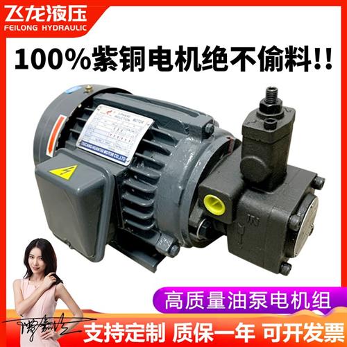 新款液压油泵电机组液压站液压系统总成专用0.75 1.5 2.2 3KW现货图片