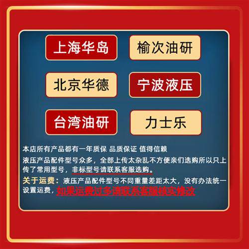 新款高压叶片泵PV2R1液压油泵永灵pv2r2定量液压帮浦总成配件pv现