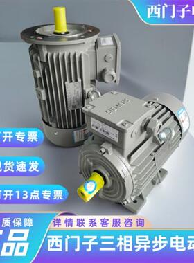 电机3KW4P卧式1LE0001-1AB52-1AA4-Z三相异步交流电动机