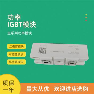 二极管模块全新SKKE301F12 SKKE310F12 SKKE330F17 SKKE600F12