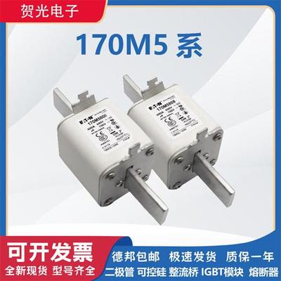 快速熔断器保险 170M5808/5809/5810/5811/5812/5813全新