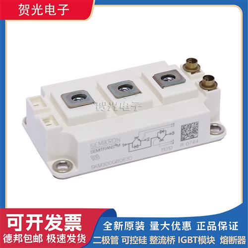 西门康全新原装晶闸管可控硅 SKM300GB063D 功率IGBT模块