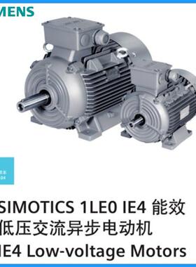 电机1LE0001-2CA23-3FA4-Z55KW2极B5立式三相异步电动机