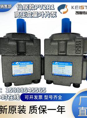 新款PV2R1-21-FR/31/25/23/17/19/PV2R1-28-FR变量现货