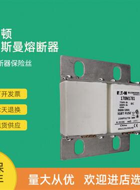 全新快速熔断器保险170M1796 170M1802 170M1803 170M1804
