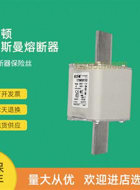 全新快速熔断器保险170M5816D 170M5817D 170M5820D 170M5847