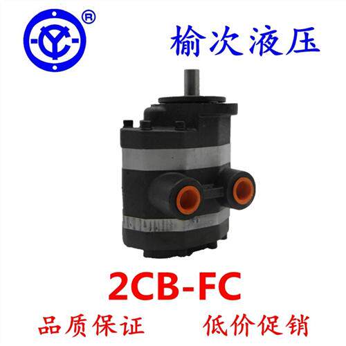 新款双联齿轮泵2CB-FC-10 16 20 25 31.5 40 50-FL-X现货