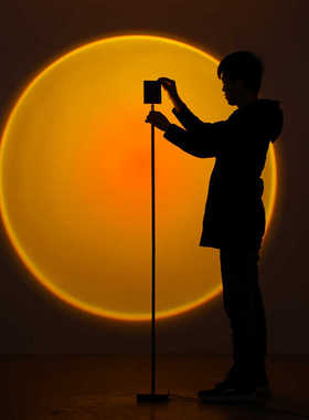 主播神器美颜补光拍照氛围灯客厅卧室网红灯摄影师夕阳投影落地灯