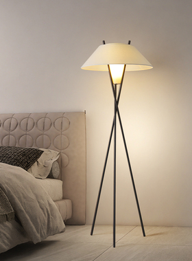 意大利设计师三角落地灯客厅样板间卧室钢琴装饰立式台灯诧寂风