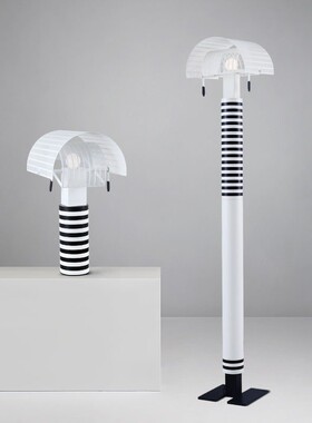极简风客厅落地灯简约创意黑白色系条纹斑马色卧室创意装饰落台灯