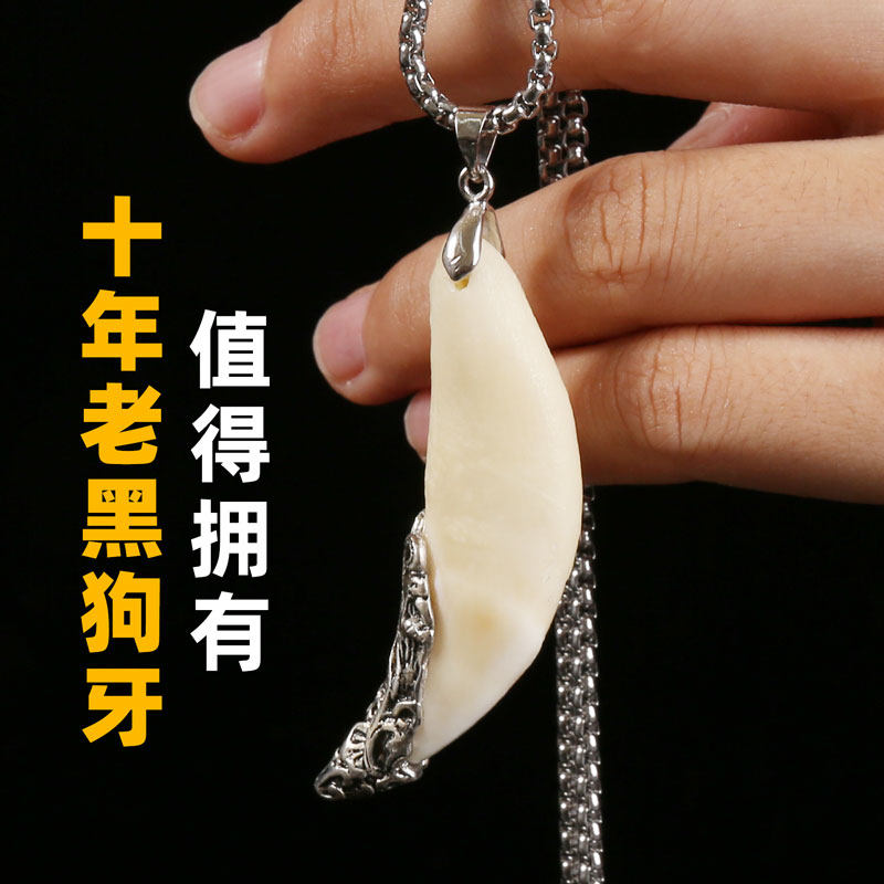 真正黑狗牙项链狼老狗牙吊坠大狗牙齿真品男女士成人平安护身定制