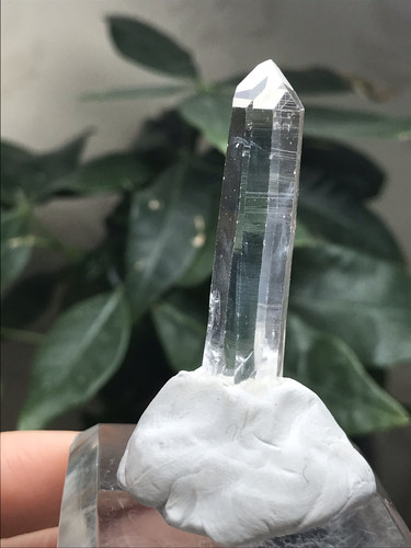20260159哥伦比亚的利姆利亚，尺寸：42/10mm，5.1g，52元