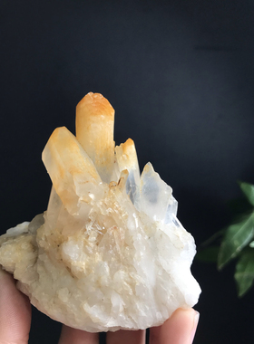 20250055哥伦比亚的芒果晶晶簇，颜色鲜艳尺寸：70/75mm（116.2）