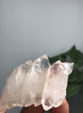 20250126哥伦比亚的利姆利亚粉合，品质好尺寸：55/33mm（34.2）