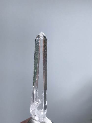 20260045哥伦比亚的利姆利亚双尖，整体完整尺寸：51/10mm（4.4）