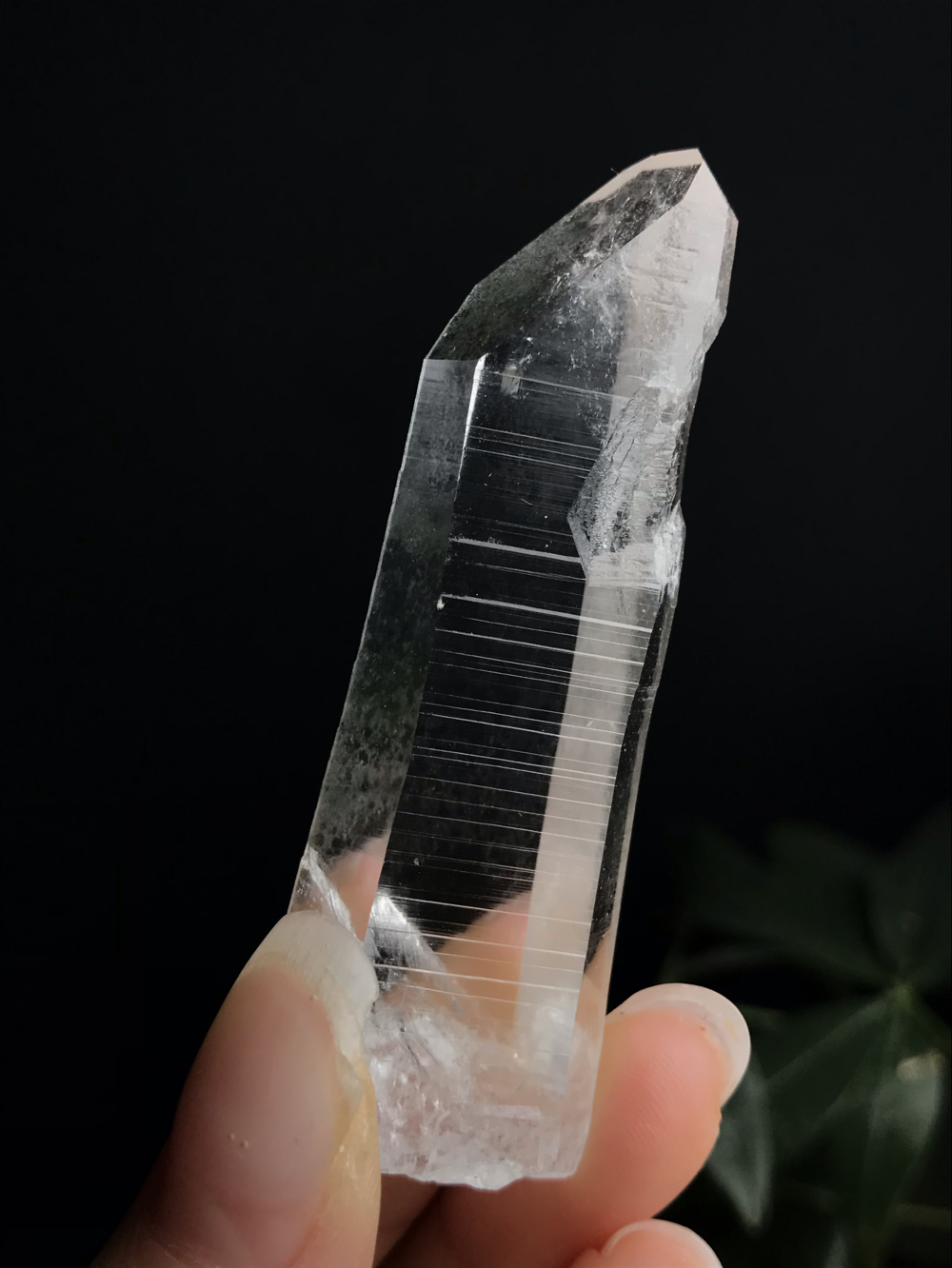 20250338哥伦比亚pb矿区的利姆利亚单晶66/22mm，30g