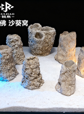 千手佛窝沙葵海缸鱼缸珊瑚基拉戈爪哇石人工红树盒子金黄紫色