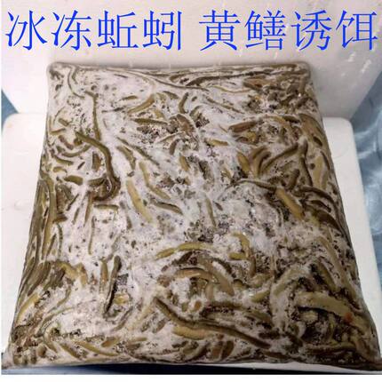 冰冻蚯蚓湖北青蚯蚓冷冻黑蚯蚓黄鳝网笼专用诱饵养殖黄鳝开口饲料