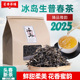 2025年头春云南普洱茶生茶散茶500g袋装 口粮茶临沧生普老树茶叶